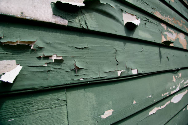 Property Management Cleanouts in Trafalgar, IN